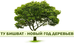 Happy Tu bishvat Day!