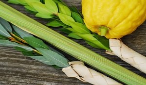 Hag Sukkot sameakh!