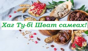 �� �-����: ���� ���������� �����!